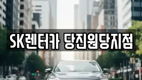 충남 당진시 수청동 장기렌트카 전문 SK렌터카 당진원당지점
