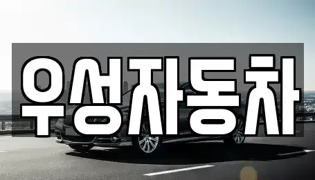 충남 당진시 수청동 중고차 전문 우성자동차