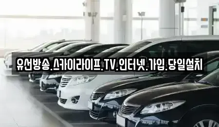 충남 태안군 원북면 중고차매입 전문 유선방송.스카이라이프.TV.인터넷.가입.당일설치
