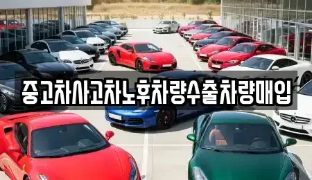 충북 괴산군 장연면 중고차매입 전문 중고차사고차노후차량수출차량매입