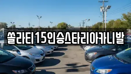 충북 단양군 단성면 렌트카 전문 쏠라티15인승스타리아카니발