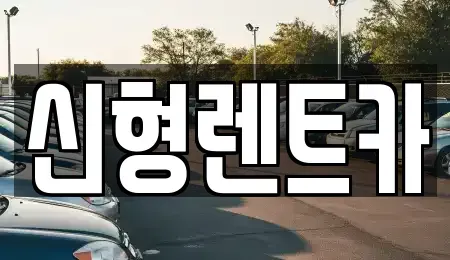 충북 제천시 동현동 렌트카 전문 신형렌트카