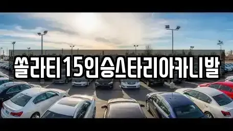 충북 제천시 동현동 렌트카 전문 쏠라티15인승스타리아카니발