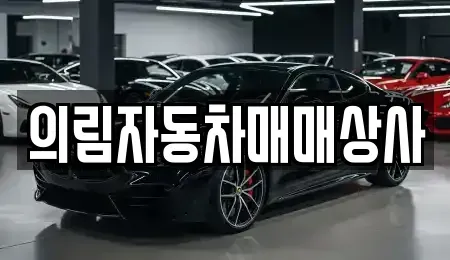 충북 제천시 동현동 중고차 전문 의림자동차매매상사