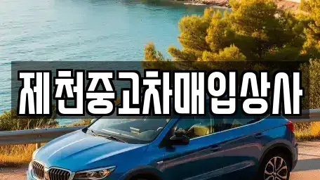충북 제천시 동현동 중고차매입 전문 제천중고차매입상사