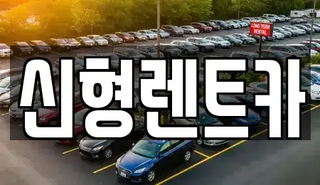 충북 제천시 중앙로2가 렌트카 전문 신형렌트카
