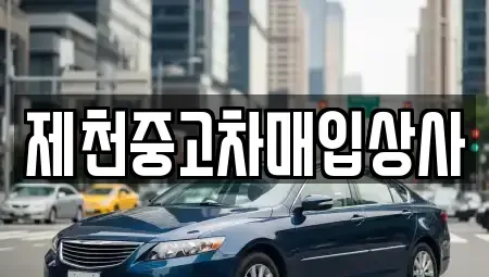 충북 제천시 중앙로2가 단기렌트카,중고차매입,중고차매매,중고차,렌트카,장기렌트카