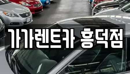 충북 청주시 렌트카 전문 가가렌트카 흥덕점