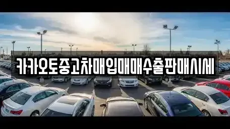 충북 청주시 중고차매입 전문 카카오토중고차매입매매수출판매시세