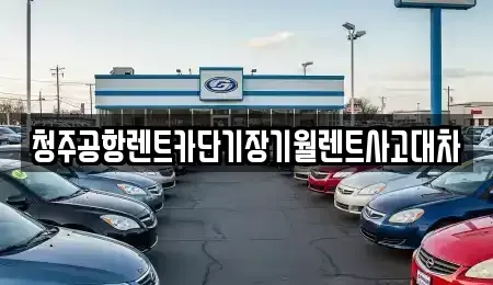 충북 청주시 청원구 외평동 렌트카 전문 청주공항렌트카단기장기월렌트사고대차