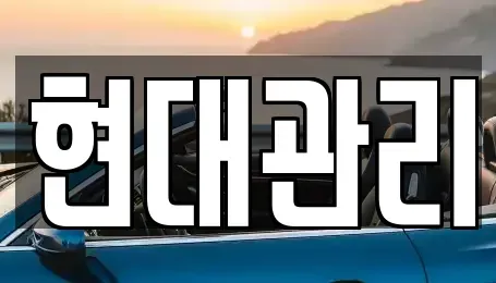 충북 청주시 청원구 외평동 렌트카 전문 현대관리