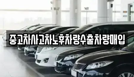 충북 청주시 청원구 외평동 중고차매입 전문 중고차사고차노후차량수출차량매입