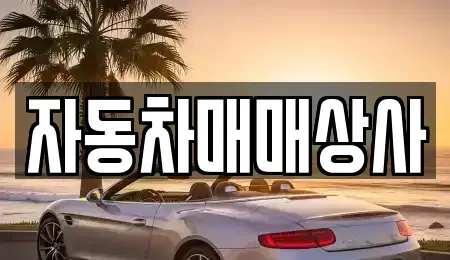 충북 청주시 청원구 주성동 중고차매매 전문 자동차매매상사
