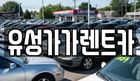 충청남도 계룡시 신도안면 렌트카 전문 유성가가렌트카