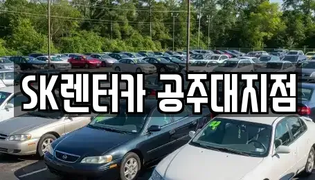 충청남도 공주시 신관동 장기렌트카 전문 SK렌터카 공주대지점