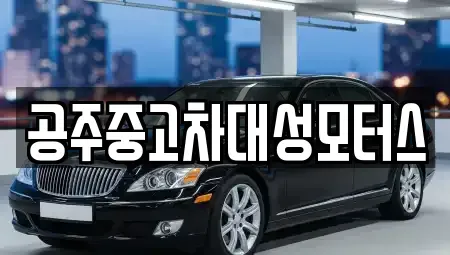 충청남도 공주시 신관동 중고차 전문 공주중고차대성모터스