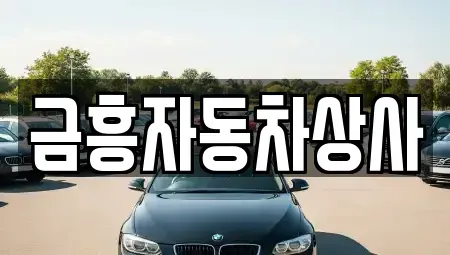 충청남도 공주시 신관동 중고차 전문 금흥자동차상사
