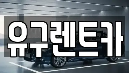 충청남도 공주시 유구읍 렌트카 전문 유구렌트카