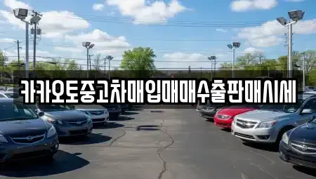 충청남도 공주시 유구읍 중고차매매 전문 카카오토중고차매입매매수출판매시세