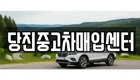충청남도 당진시 우두동 중고차매입 전문 당진중고차매입센터