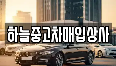 충청남도 당진시 우두동 중고차매입 전문 하늘중고차매입상사