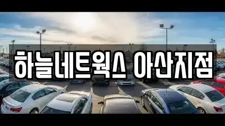 충청남도 아산시 온천동 렌트카 전문 하늘네트웍스 아산지점