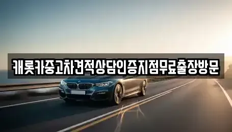 충청남도 아산시 온천동 중고차 전문 캐롯카중고차견적상담인증지점무료출장방문