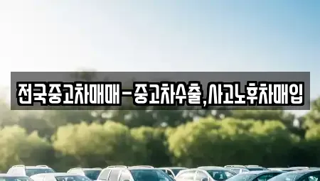 충청남도 아산시 온천동 중고차매입 전문 전국중고차매매-중고차수출,사고노후차매입