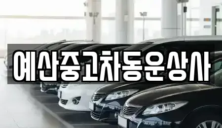 충청남도 예산군 오가면 중고차매매 전문 예산중고차동운상사