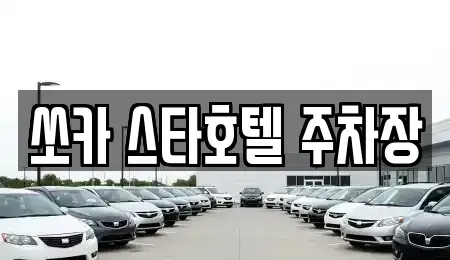 충청남도 천안시 동남구 대흥동 렌트카 전문 쏘카 스타호텔 주차장
