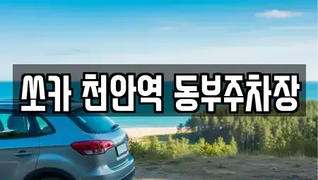 충청남도 천안시 동남구 대흥동 렌트카 전문 쏘카 천안역 동부주차장