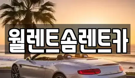 충청남도 천안시 동남구 대흥동 렌트카 전문 월렌트솜렌트카