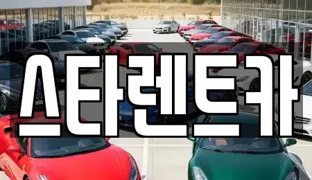 충청남도 천안시 동남구 용곡동 렌트카 전문 스타렌트카