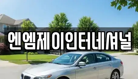 충청남도 천안시 동남구 용곡동 렌트카 전문 엔엠제이인터네셔널
