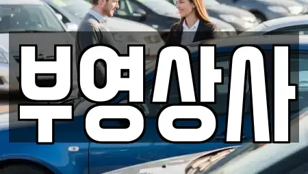 충청남도 천안시 서북구 성환읍 중고차 전문 부영상사