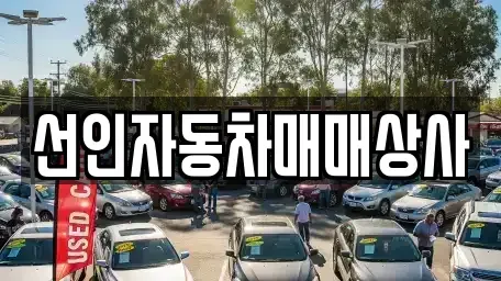 충청남도 천안시 서북구 성환읍 중고차 전문 선인자동차매매상사