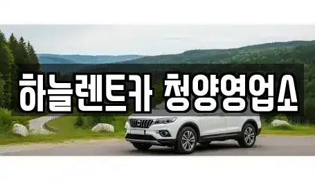 충청남도 청양군 청양읍 렌트카 전문 하늘렌트카 청양영업소