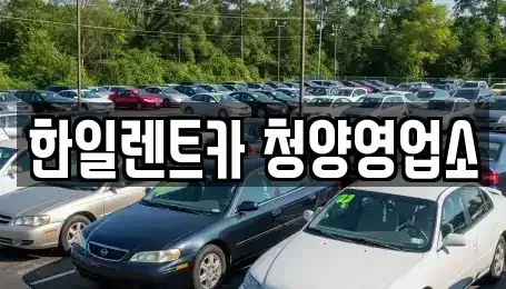 충청남도 청양군 청양읍 렌트카 전문 한일렌트카 청양영업소