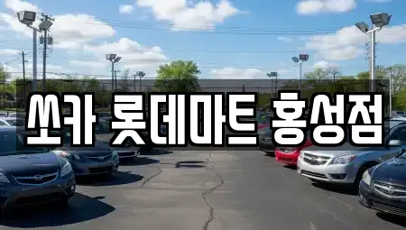 충청남도 홍성군 금마면 렌트카 전문 쏘카 롯데마트 홍성점