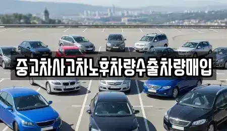 충청남도 홍성군 금마면 중고차 전문 중고차사고차노후차량수출차량매입