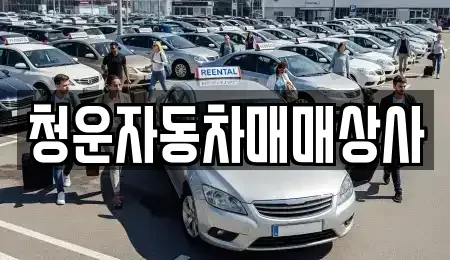 충청남도 홍성군 금마면 중고차 전문 청운자동차매매상사