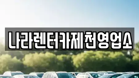 충청북도 제천시 신백동 렌트카 전문 나라렌터카제천영업소