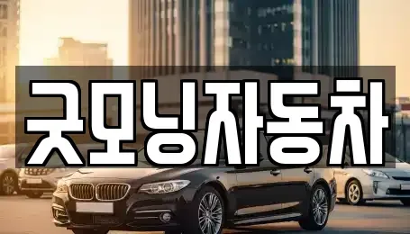 충청북도 제천시 신백동 중고차매매 전문 굿모닝자동차