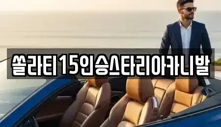 충청북도 제천시 중앙로1가 렌트카 전문 쏠라티15인승스타리아카니발