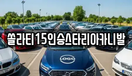 충청북도 제천시 한수면 렌트카 전문 쏠라티15인승스타리아카니발