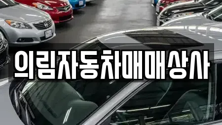 충청북도 제천시 한수면 단기렌트카,중고차매입,중고차매매,중고차,렌트카,장기렌트카