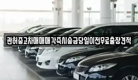 충청북도 청주시 상당구 남문로1가 중고차매매,단기렌트카,중고차매입,장기렌트카,중고차,렌트카