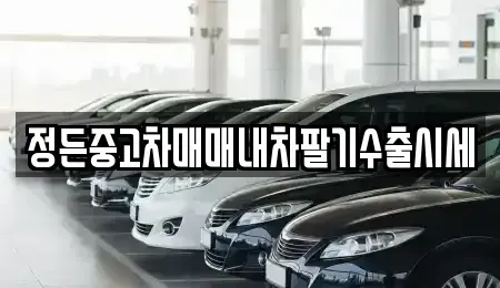 충청북도 청주시 상당구 남문로1가 중고차매매 전문 정든중고차매매내차팔기수출시세