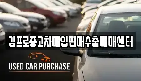 충청북도 청주시 상당구 남문로1가 중고차매입 전문 김프로중고차매입판매수출매매센터