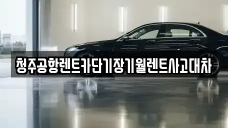 충청북도 청주시 흥덕구 내곡동 렌트카 전문 청주공항렌트카단기장기월렌트사고대차